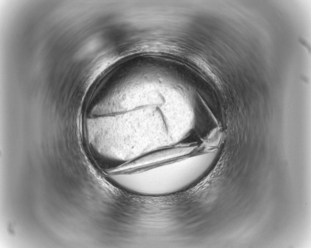 X0000093421032200711021011