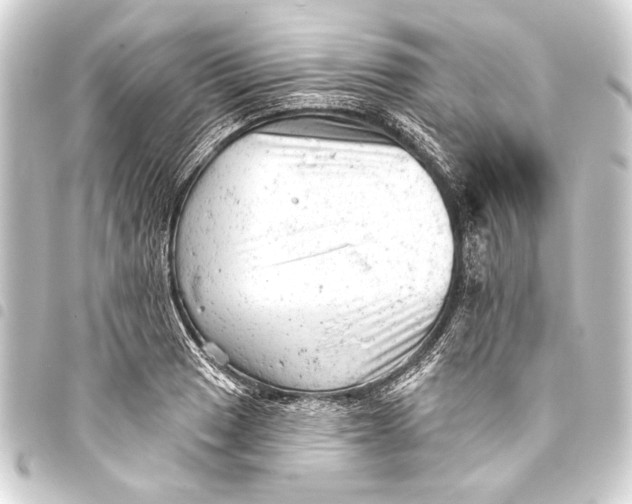 X0000093421033200711021011