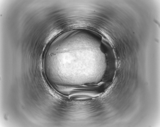 X0000093421034200711021011