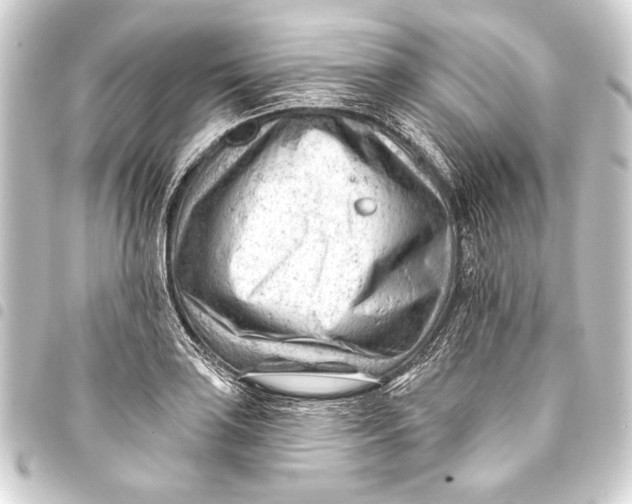 X0000093421035200711021011