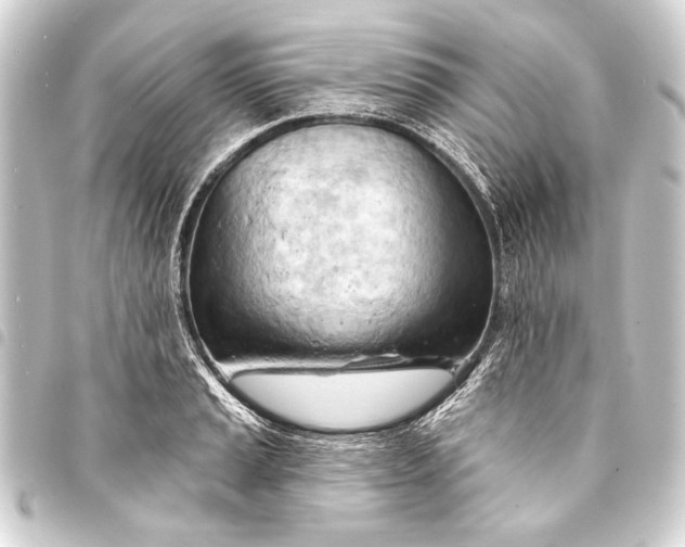 X0000093421037200711021011