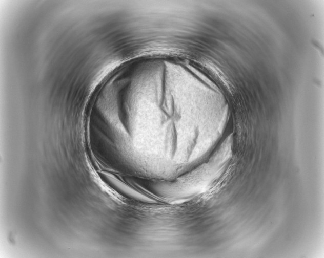 X0000093421038200711021011