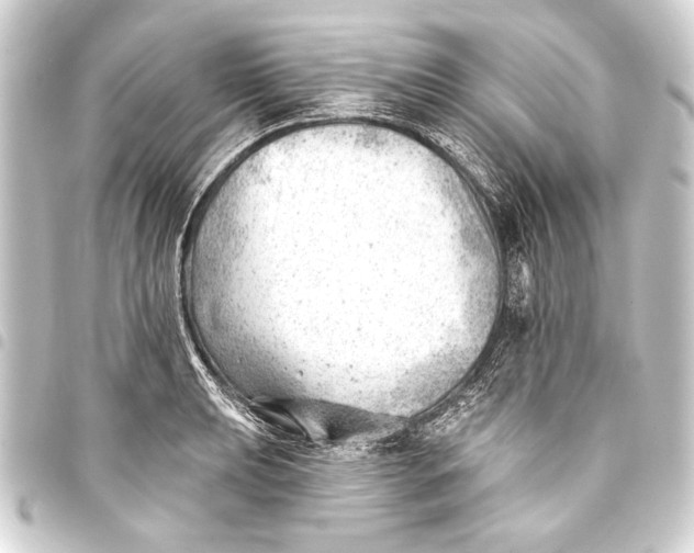 X0000093421039200711021011