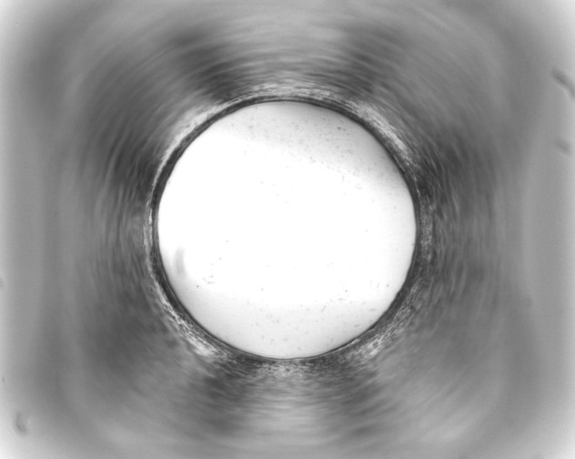 X0000093421040200711021011