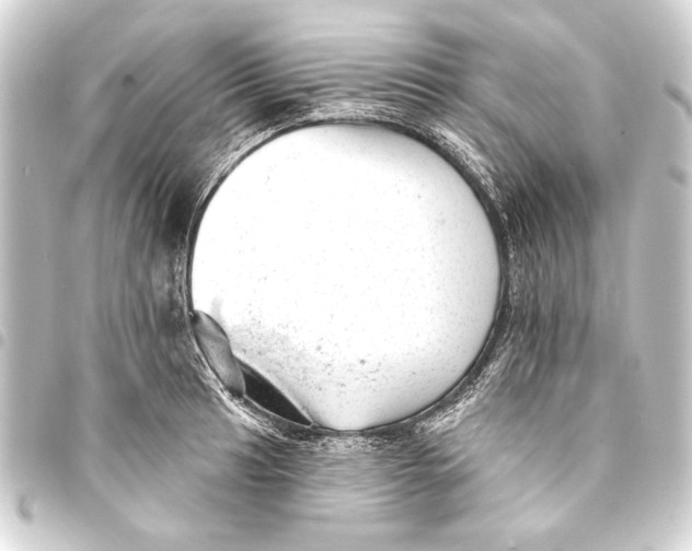 X0000093421041200711021011