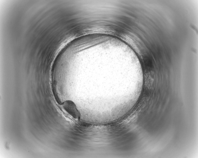 X0000093421043200711021011