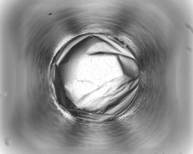 X0000093421046200711021011