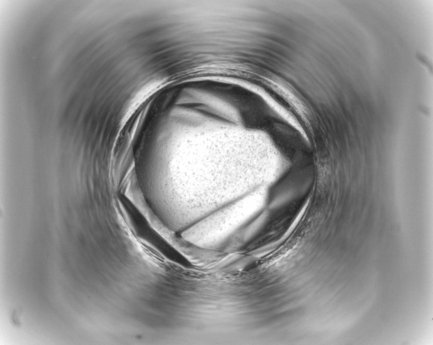 X0000093421050200711021011