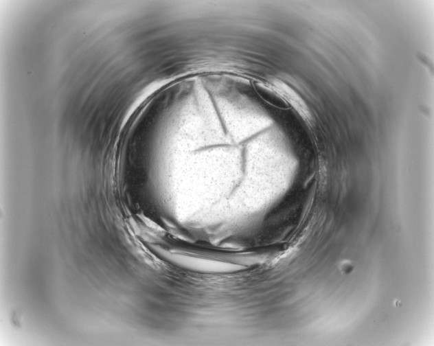 X0000093421052200711021011