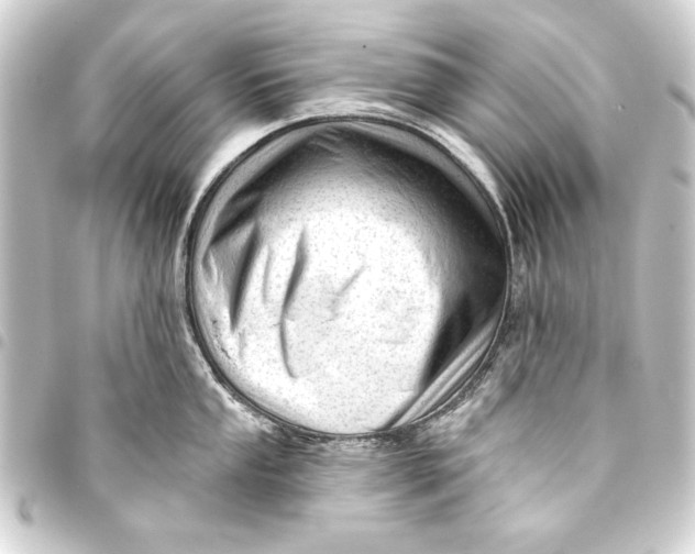 X0000093421053200711021011