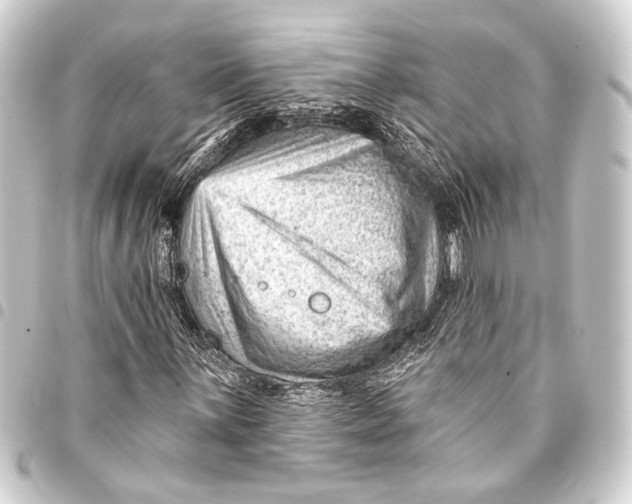 X0000093421059200711021010