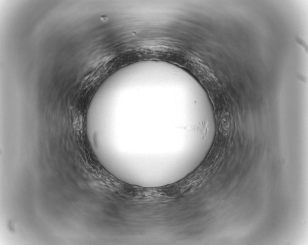 X0000093421061200711021010