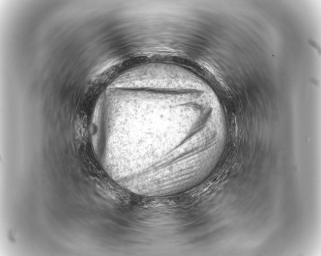 X0000093421063200711021010