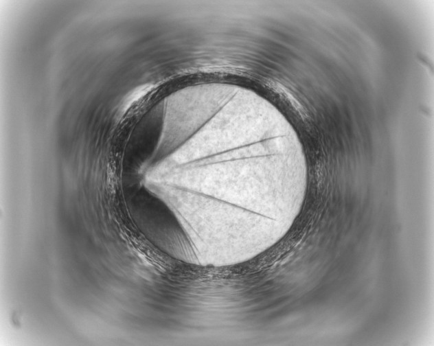 X0000093421064200711021010