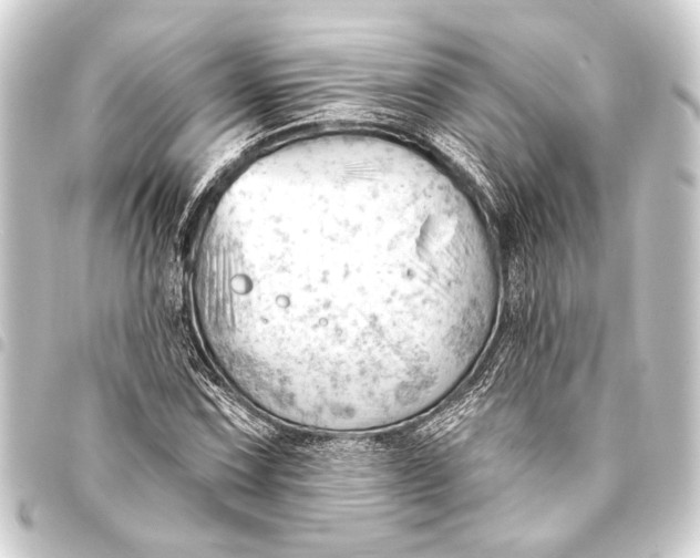 X0000093421067200711021010