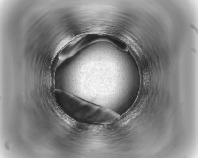 X0000093421069200711021010