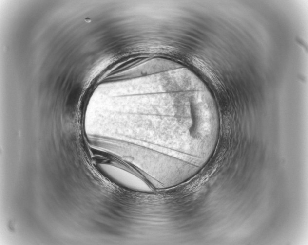 X0000093421071200711021010