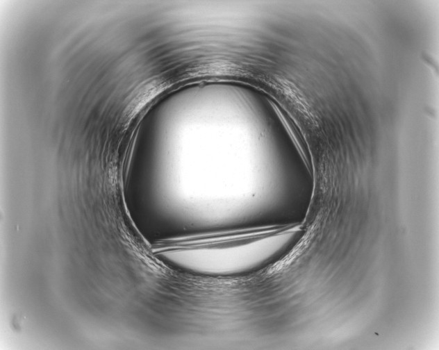 X0000093421073200711021010