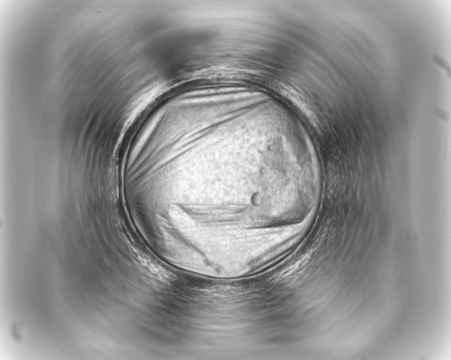 X0000093421075200711021010