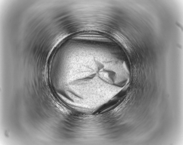 X0000093421076200711021010