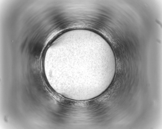 X0000093421078200711021010