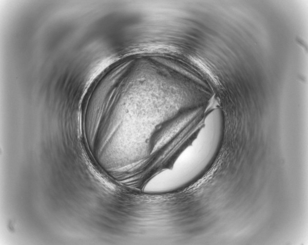 X0000093421079200711021010