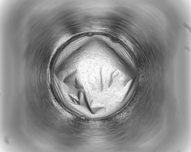 X0000093421080200711021010