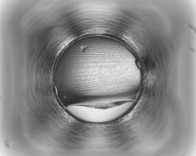 X0000093421081200711021010