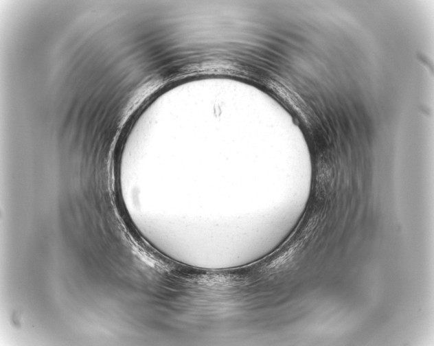 X0000093421082200711021010