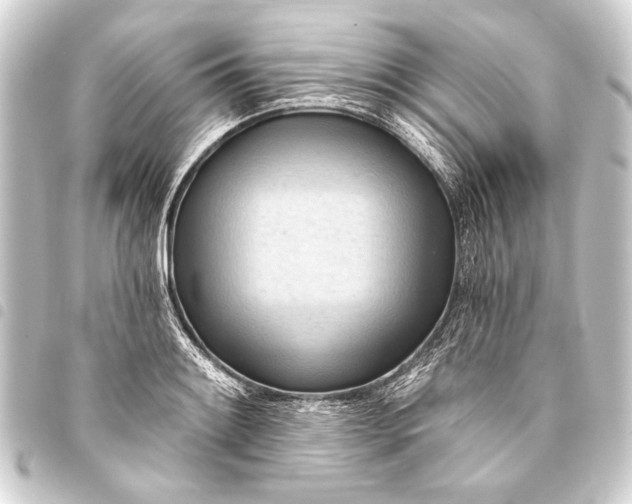 X0000093421084200711021010