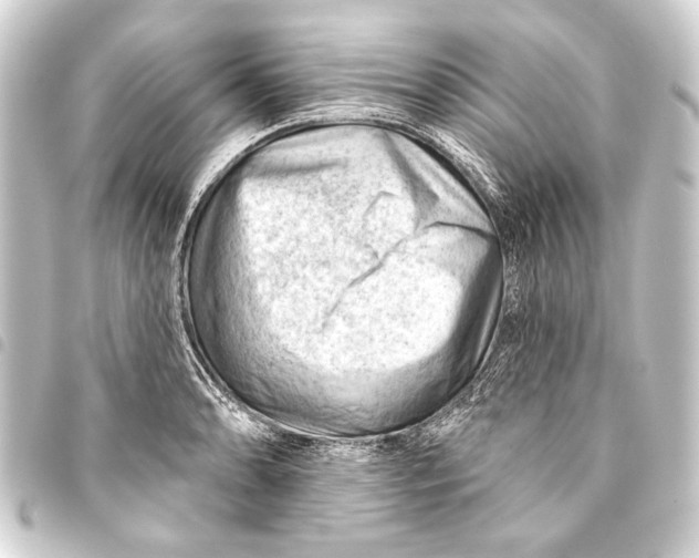 X0000093421086200711021010