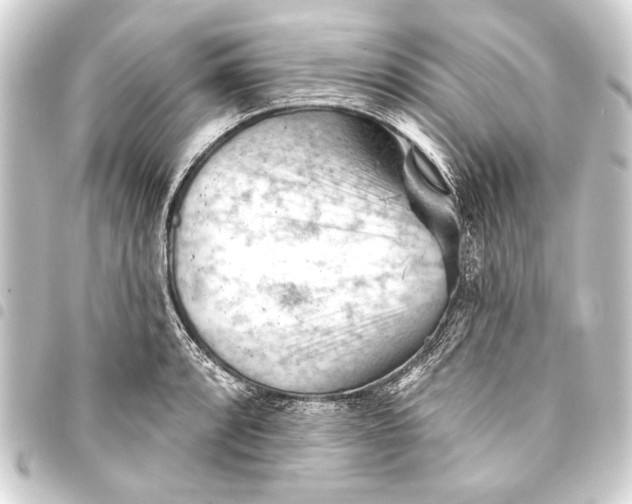 X0000093421088200711021010