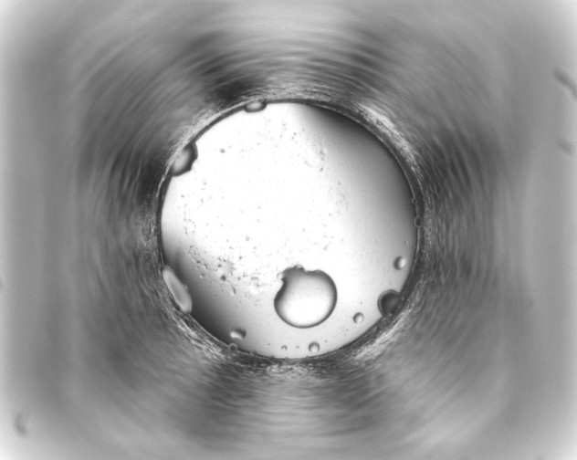 X0000093421089200711021010