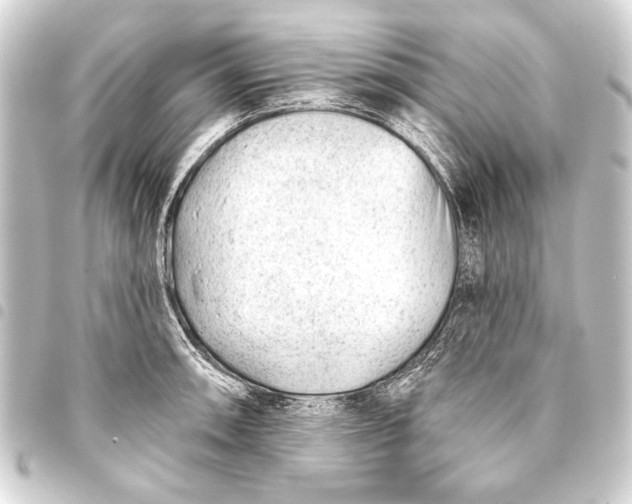 X0000093421090200711021010