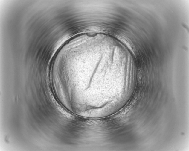 X0000093421091200711021010