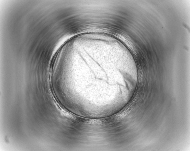 X0000093421094200711021010