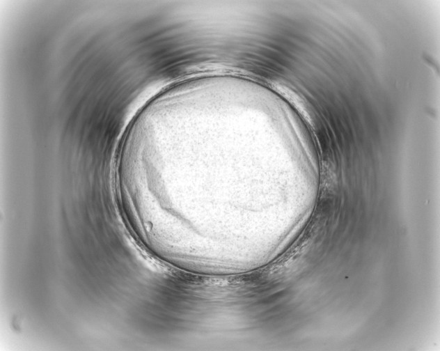 X0000093421098200711021010