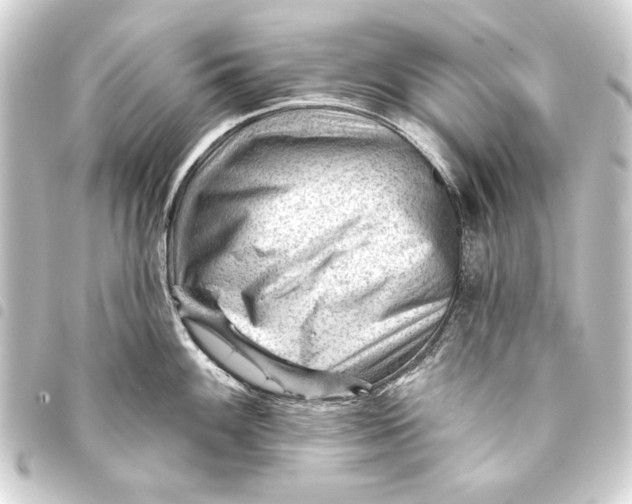 X0000093421100200711021010