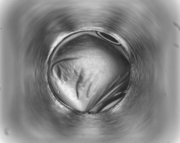 X0000093421102200711021010