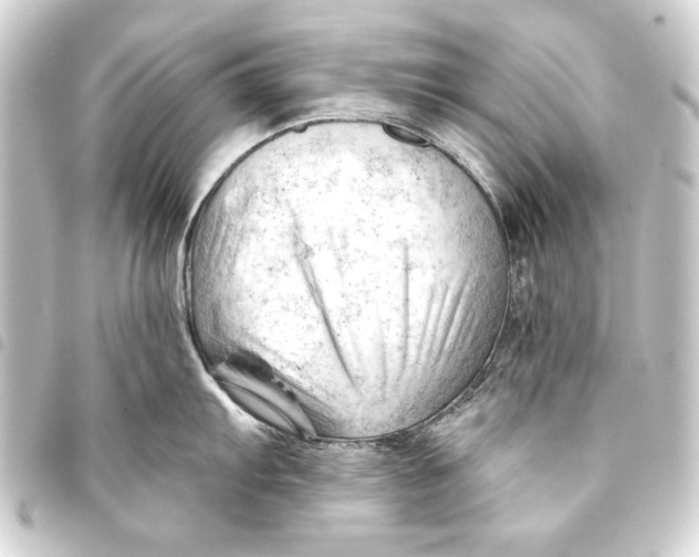 X0000093421103200711021010