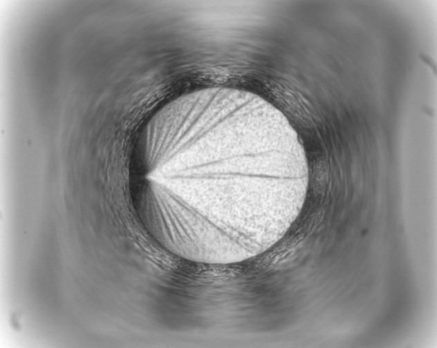 X0000093421105200711021009