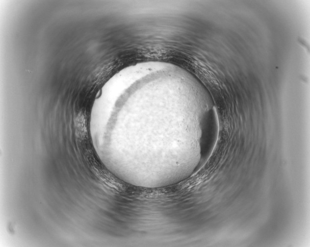 X0000093421106200711021009