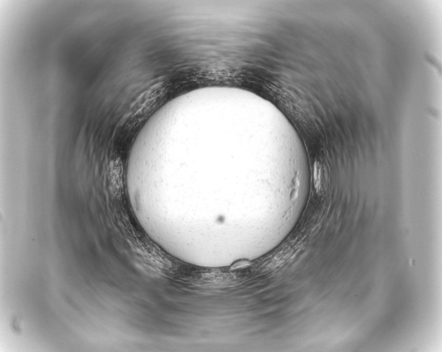 X0000093421107200711021009