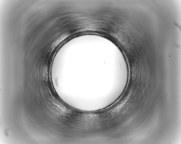 X0000093421113200711021009