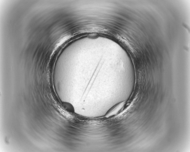 X0000093421114200711021009