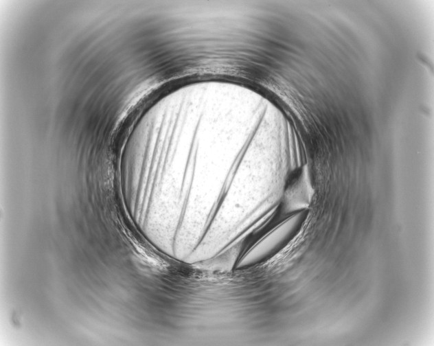 X0000093421115200711021009