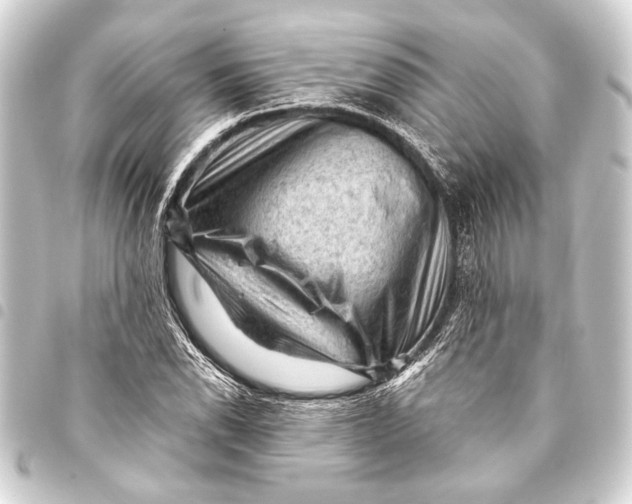 X0000093421118200711021009