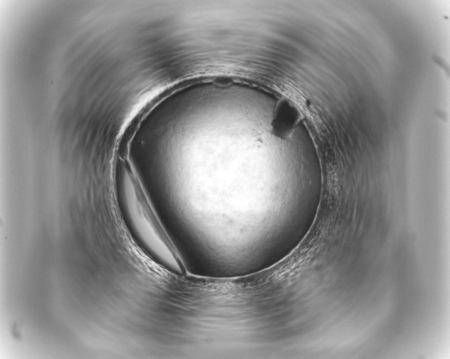 X0000093421120200711021009