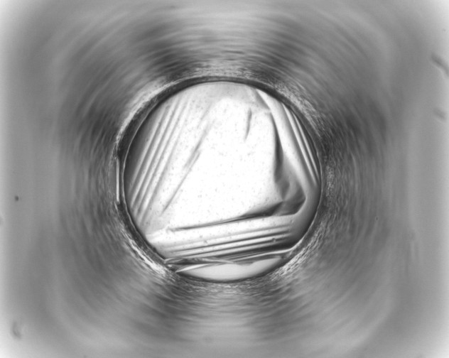 X0000093421123200711021009