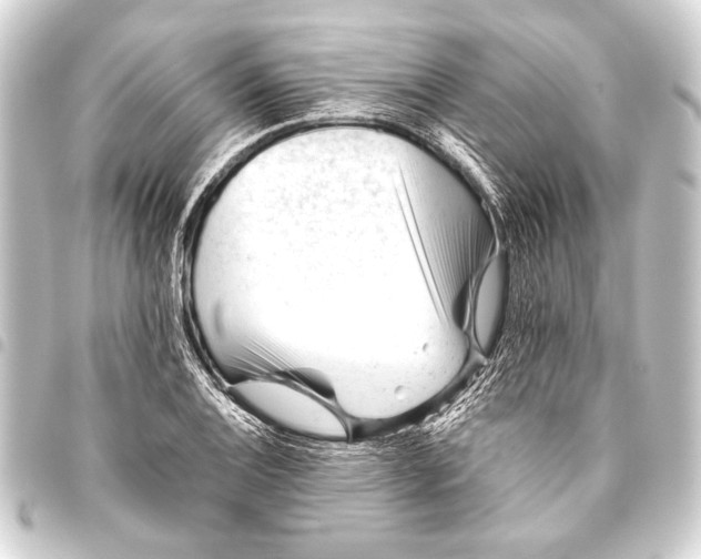 X0000093421124200711021009